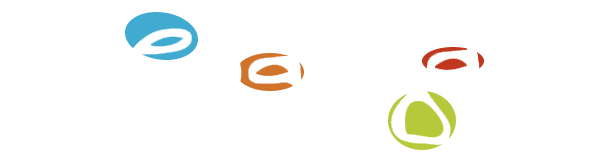 Shenaniganz Logo